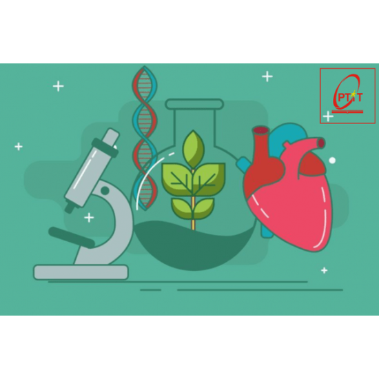 Đề cương ôn tập giữa kỳ 2 môn Sinh lớp 12 Trường THPT Yên Dũng số 2 năm 2021-2022