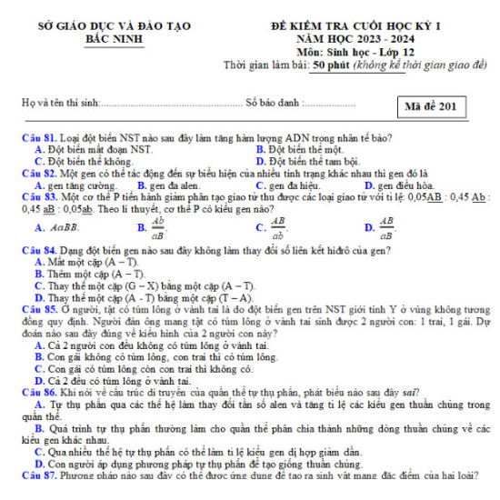 Đề Thi HK1 Sinh 12 Sở GD Bắc Ninh 2023-2024 Có Đáp Án